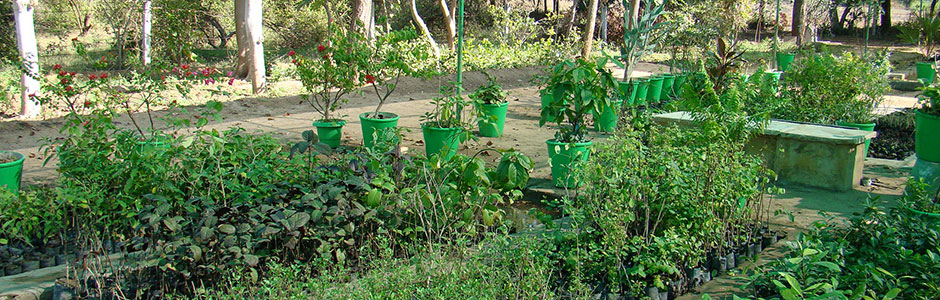 Nursery